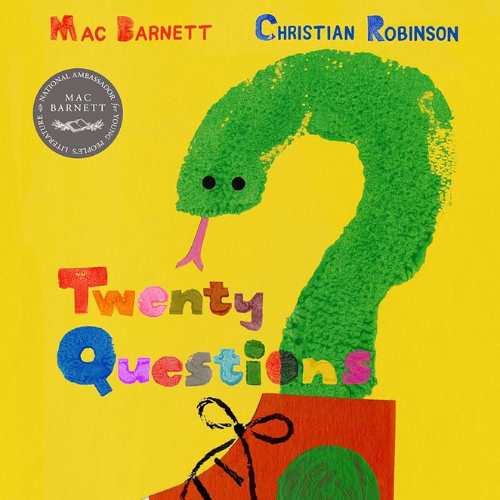 Twenty Questions Book Cover