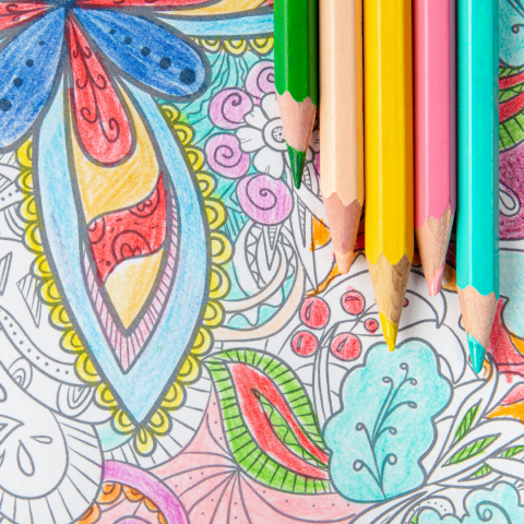 Image of a detailed coloring sheet and colored pencils