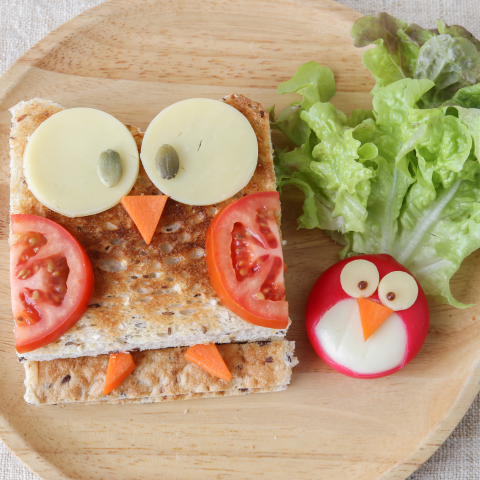 Image of a creative sandwich in the shape of an owl and a bird