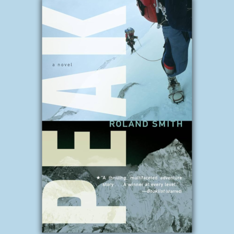 Book cover Peak on a light blue background