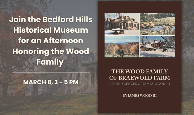 Image of the book cover the Wood Family or Braewold 